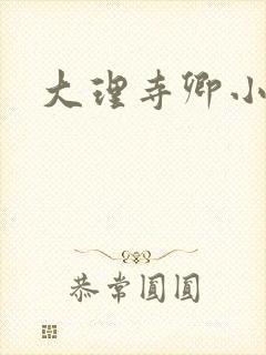 大理寺卿小说