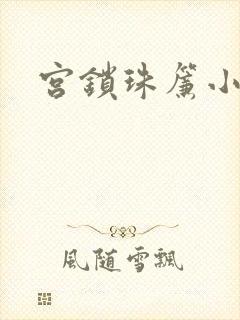宫锁珠帘小说