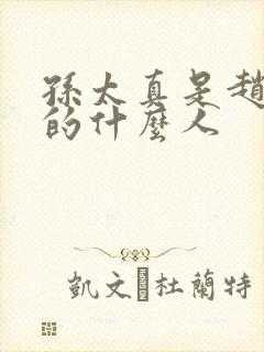 孙太真是赵匡胤的什么人封面