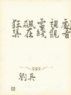 狂飙电视剧40集在线观看免费流畅
