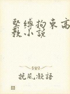 紧缚拘束高潮调教小说封面