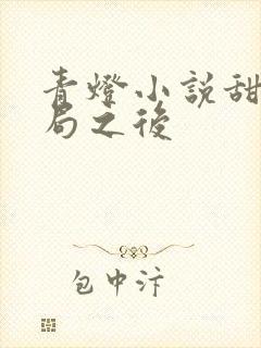 青灯小说甜文结局之后封面
