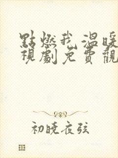 点燃我温暖你电视剧免费观看17集