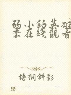 弱小的英雄第二季在线观看免费高清