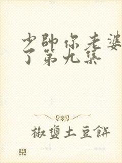 少帅你老婆又跑了第九集