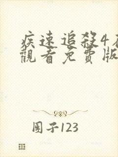 疾速追杀4在线观看免费版高清