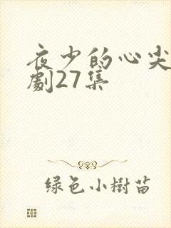 夜少的心尖宠短剧27集