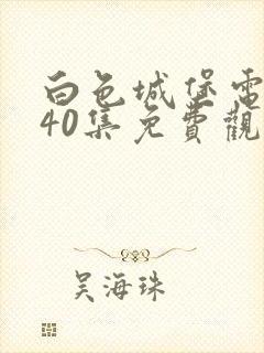 白色城堡电视剧40集免费观看