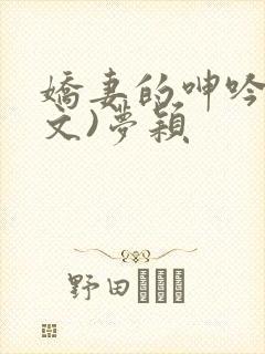 娇妻的呻吟(辣文)梦颖