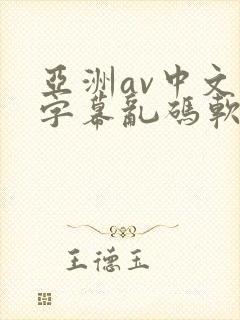 亚洲av中文字字幕乱码软件