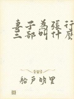 妻子为张行长第三部叫什么