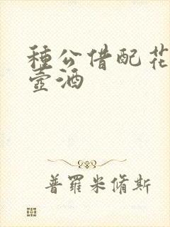 种公借配花间一壶酒