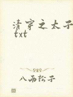 清穿之太子娇妃 txt