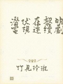 潜伏在黎明之前电视连续剧