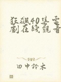 狂飙40集电视剧在线观看免费封面