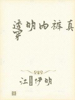 透明内裤真人试穿