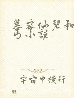 慕容仙儿和老乞丐小说
