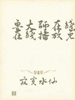 鲁大师在线高清在线播放免费