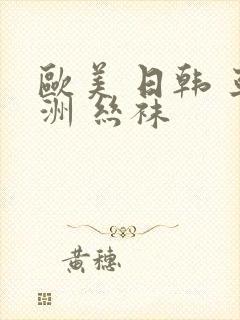 欧美 日韩 亚洲 丝袜