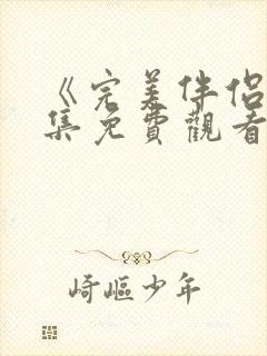 《完美伴侣》全集免费观看