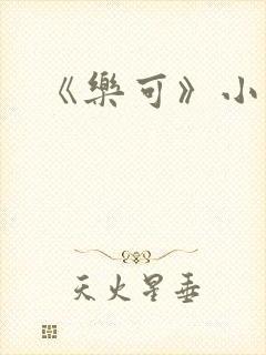 《乐可》小说