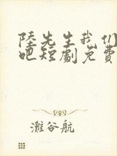 陆先生我们结婚吧短剧免费观看全集高清封面