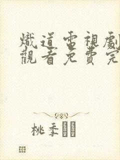 炽道电视剧在线观看免费完整版封面
