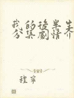 我的后半生剧情分集剧情介绍