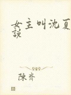 女主叫沈夏的小说