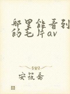 哪里能看到免费的毛片av