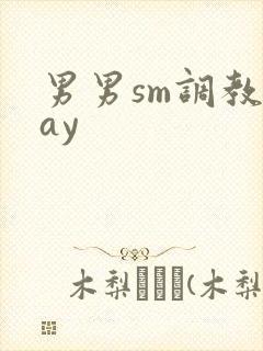 男男sm调教gay