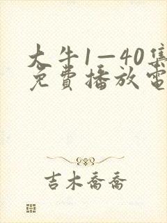大牛1—40集免费播放电视剧