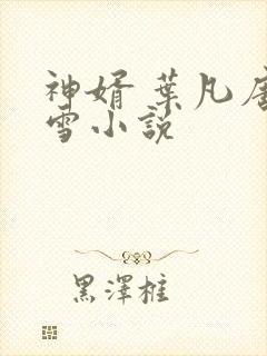 神婿 叶凡唐若雪小说