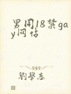 男同18禁gay网站封面