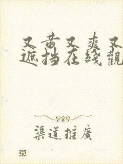 又黄又爽又色无遮挡在线观看封面