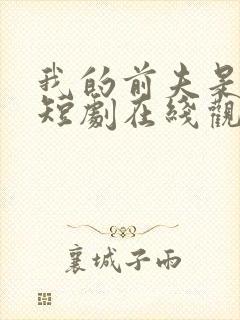 我的前夫是神医短剧在线观看