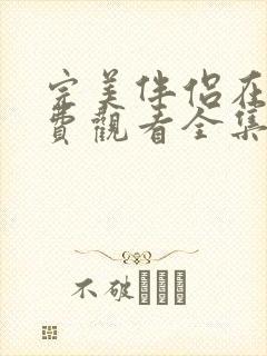 完美伴侣在线免费观看全集封面
