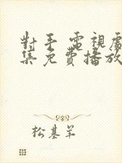 对手 电视剧全集免费播放