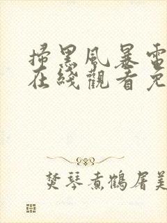 扫黑风暴电视剧在线观看免费完整版封面