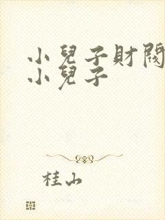 小儿子财阀家的小儿子