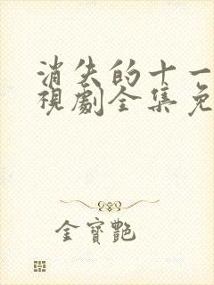 消失的十一层电视剧全集免费播放封面