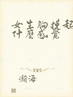 女生胸摸起来是什么感觉