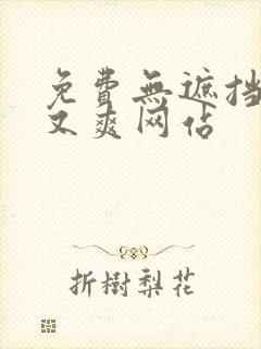 免费无遮挡又黄又爽网站