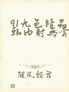 91九色精品日韩内射无套