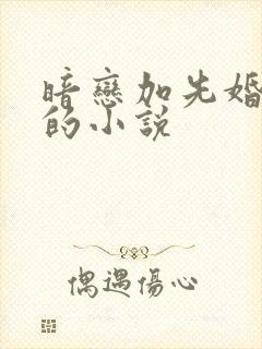 暗恋加先婚后爱的小说封面