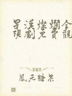 星汉灿烂全集电视剧免费观看封面