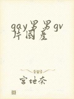 gay男男gv片国产封面