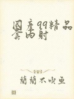 国产99精品无套内射