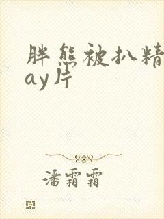 胖熊被扒精光gay片封面