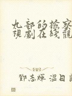 九部的检察官电视剧在线观看免费